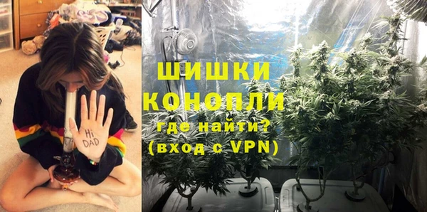 соль ск Каменногорск