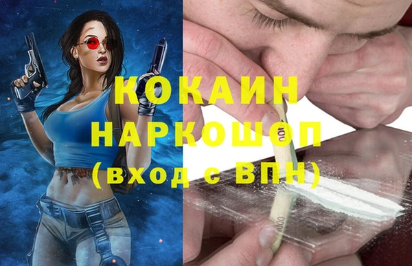 сатива Каменск-Шахтинский