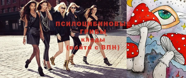 соль ск Каменногорск