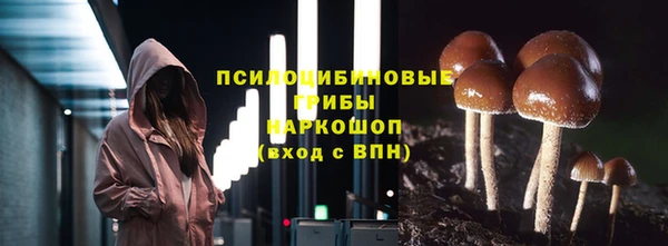 сатива Каменск-Шахтинский