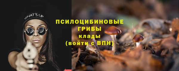 a pvp Каменка