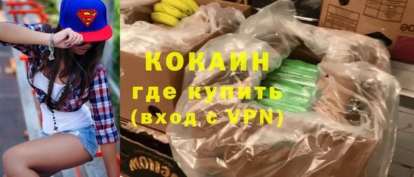соль ск Каменногорск