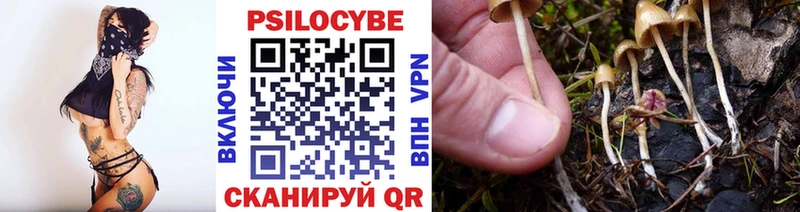 Галлюциногенные грибы прущие грибы  где можно купить наркотик  Тюмень 